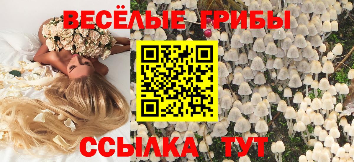 где продают   Вход с VPN  Артёмовский  Галлюциногенные грибы GOLDEN TEACHER 